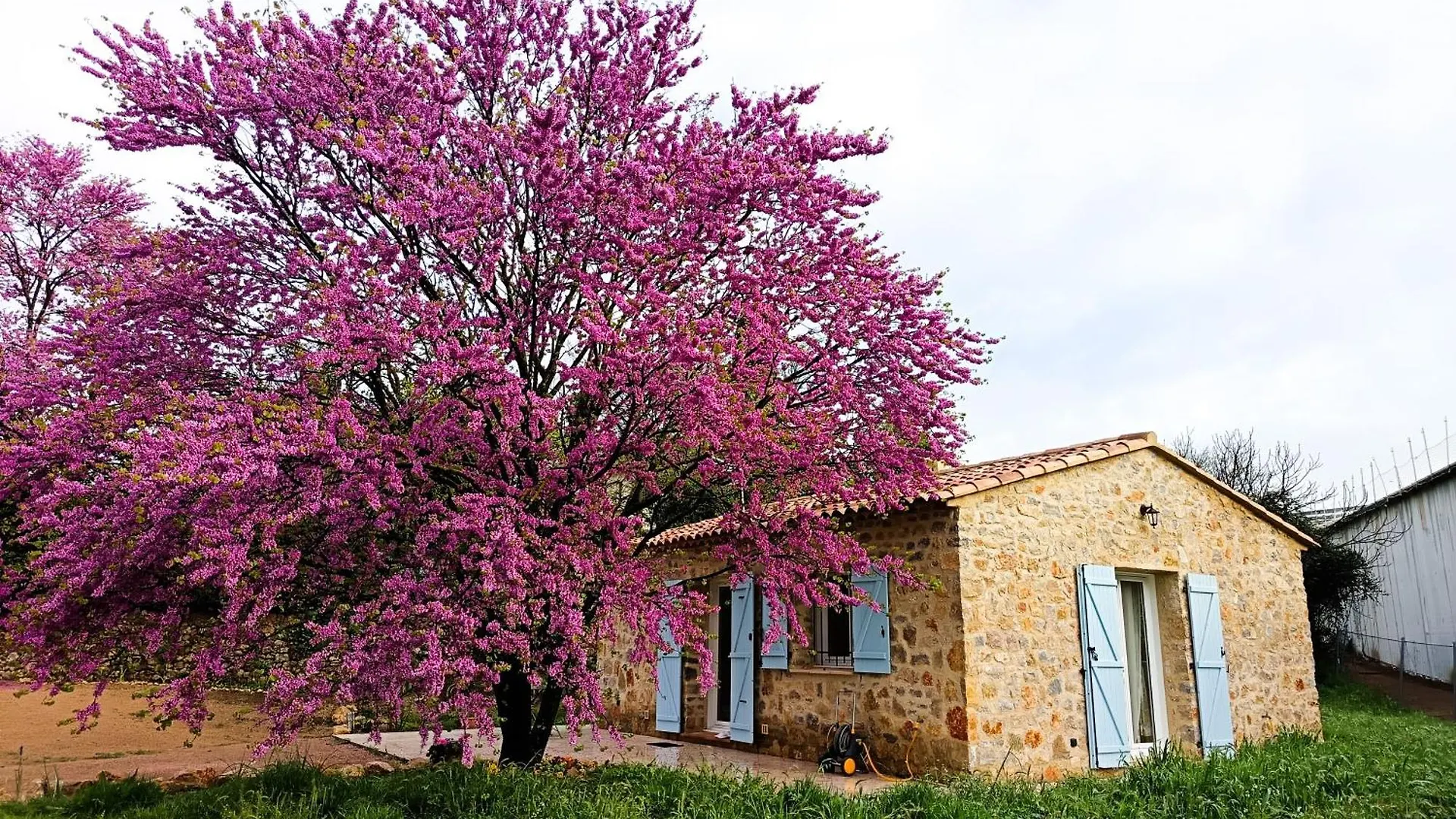 Location Maison Lorgues 
